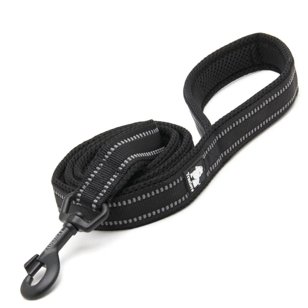 3M Reflective Leash 79" / 200cm