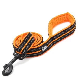 3M Reflective Leash 79" / 200cm