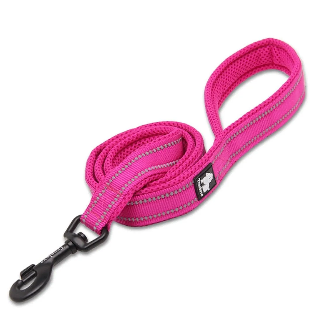 3M Reflective Leash 79" / 200cm