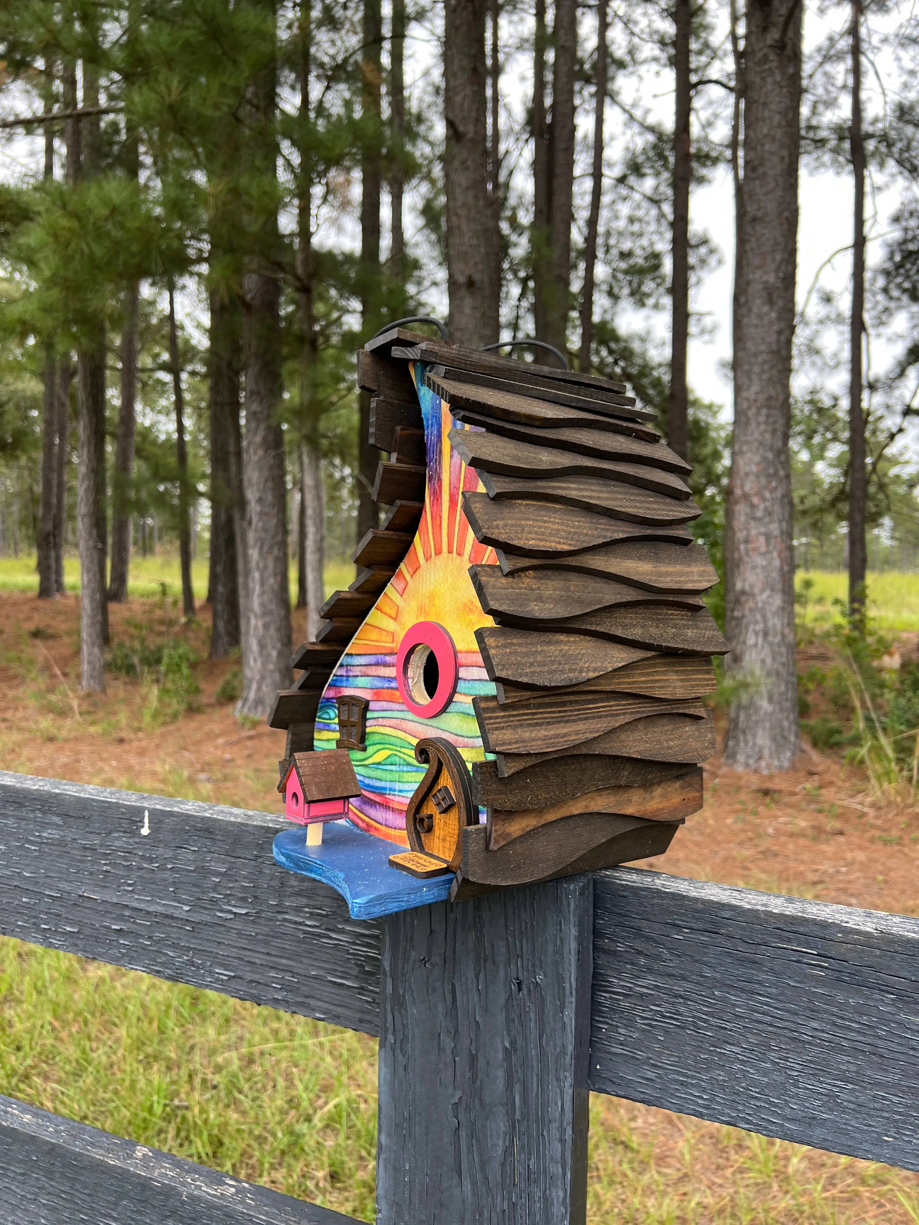 BIRDHOUSE, Unique Birdhouse, Sunset Birdhouse, Colorful Bird: Large