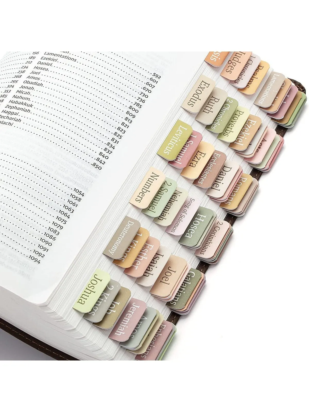 Colorful Bible Index Tab