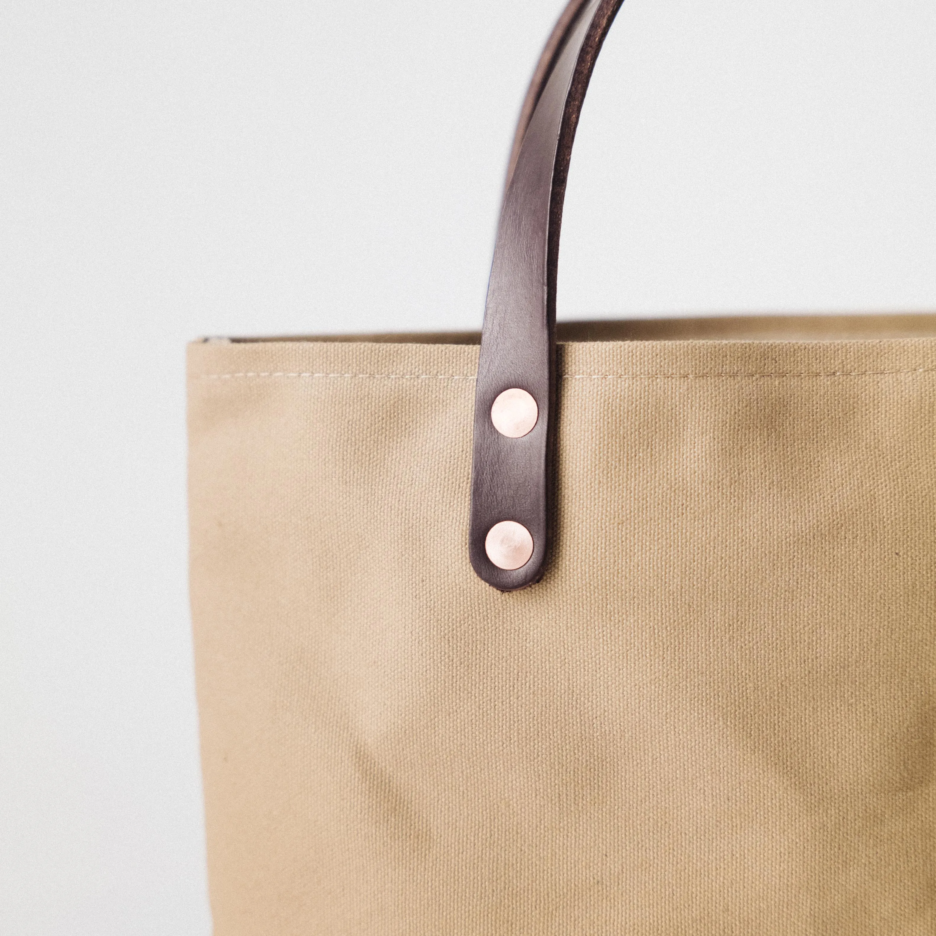 Field Tan Canvas Mini Panel Tote