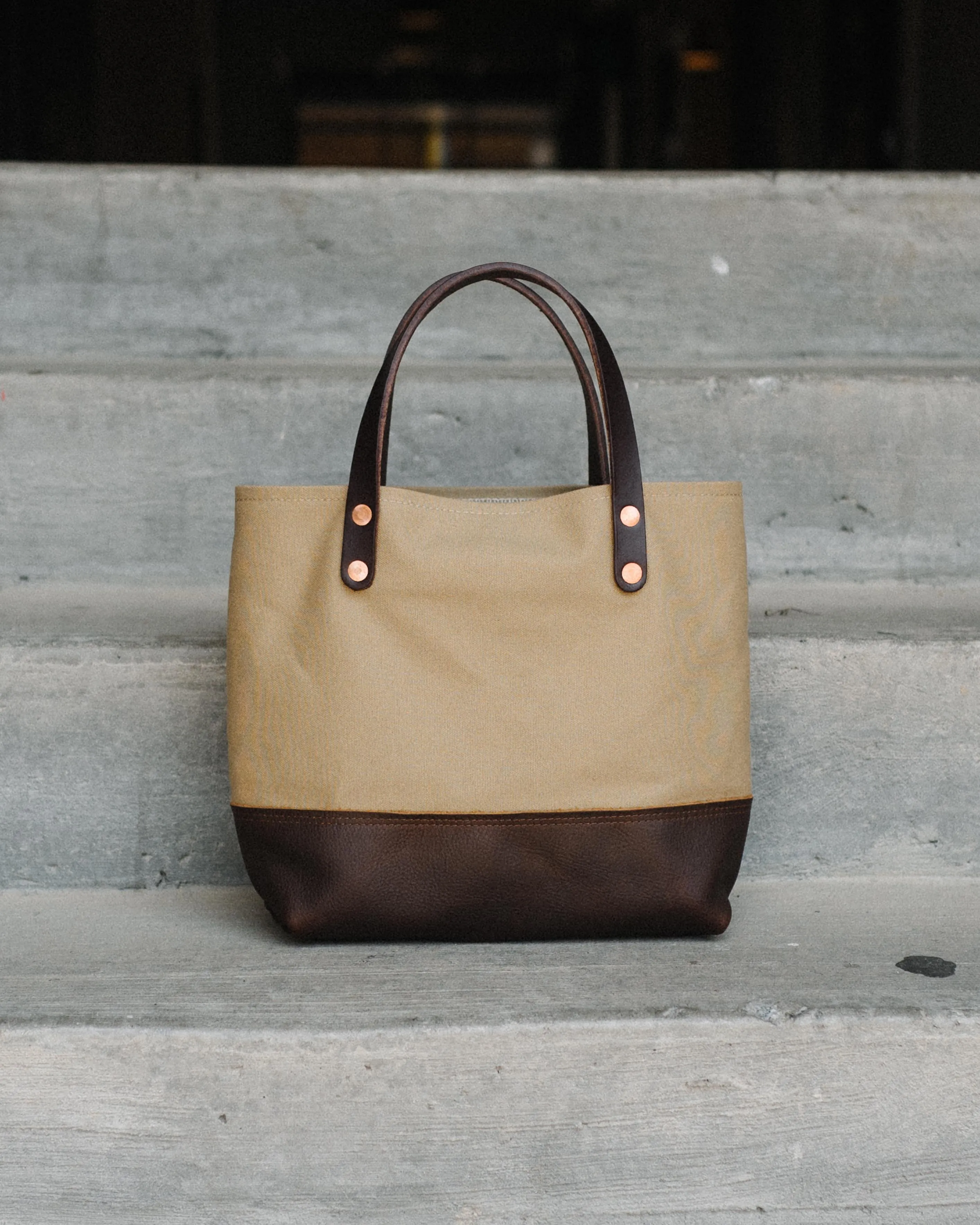 Field Tan Canvas Mini Panel Tote