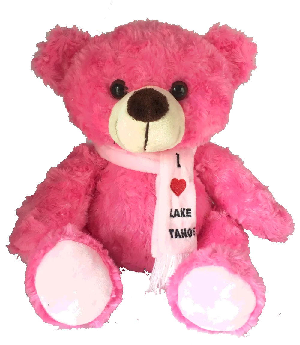 Souvenir Plush Teddy Bear Colorful I Love Lake Tahoe