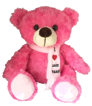 Souvenir Plush Teddy Bear Colorful I Love Lake Tahoe